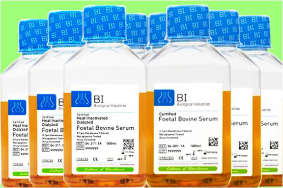 胎牛血清(澳洲血源)主圖