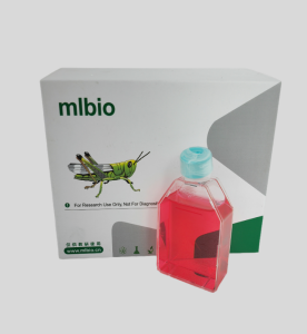 MBdSMC小鼠膀胱平滑肌細(xì)胞主圖