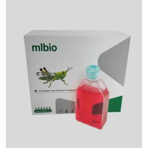 人直腸黏膜上皮細胞主圖