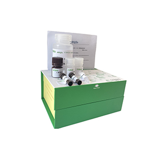 鳥(niǎo)氨酸脫酶(ODC)活性檢測(cè)試劑盒分光法/24樣主圖