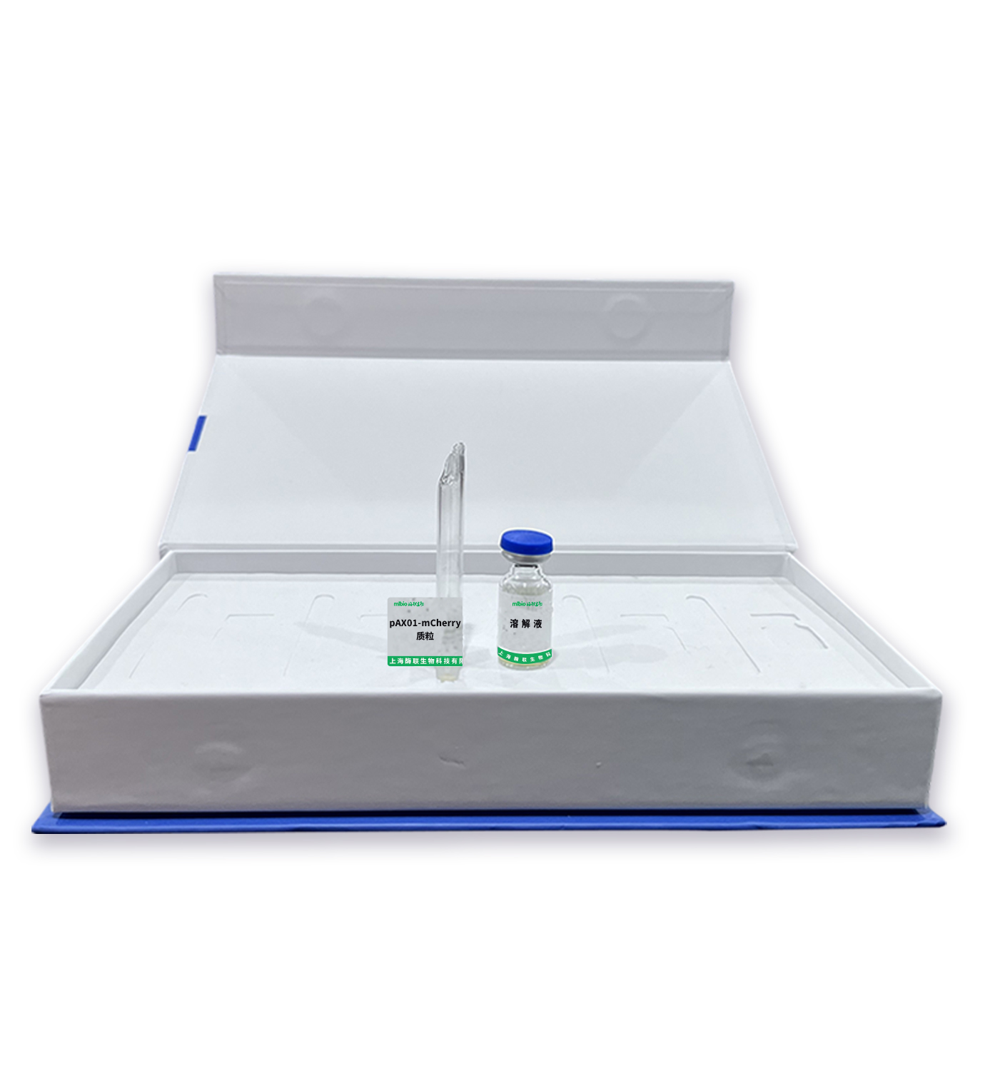 pAX01-mCherry 質(zhì)粒主圖