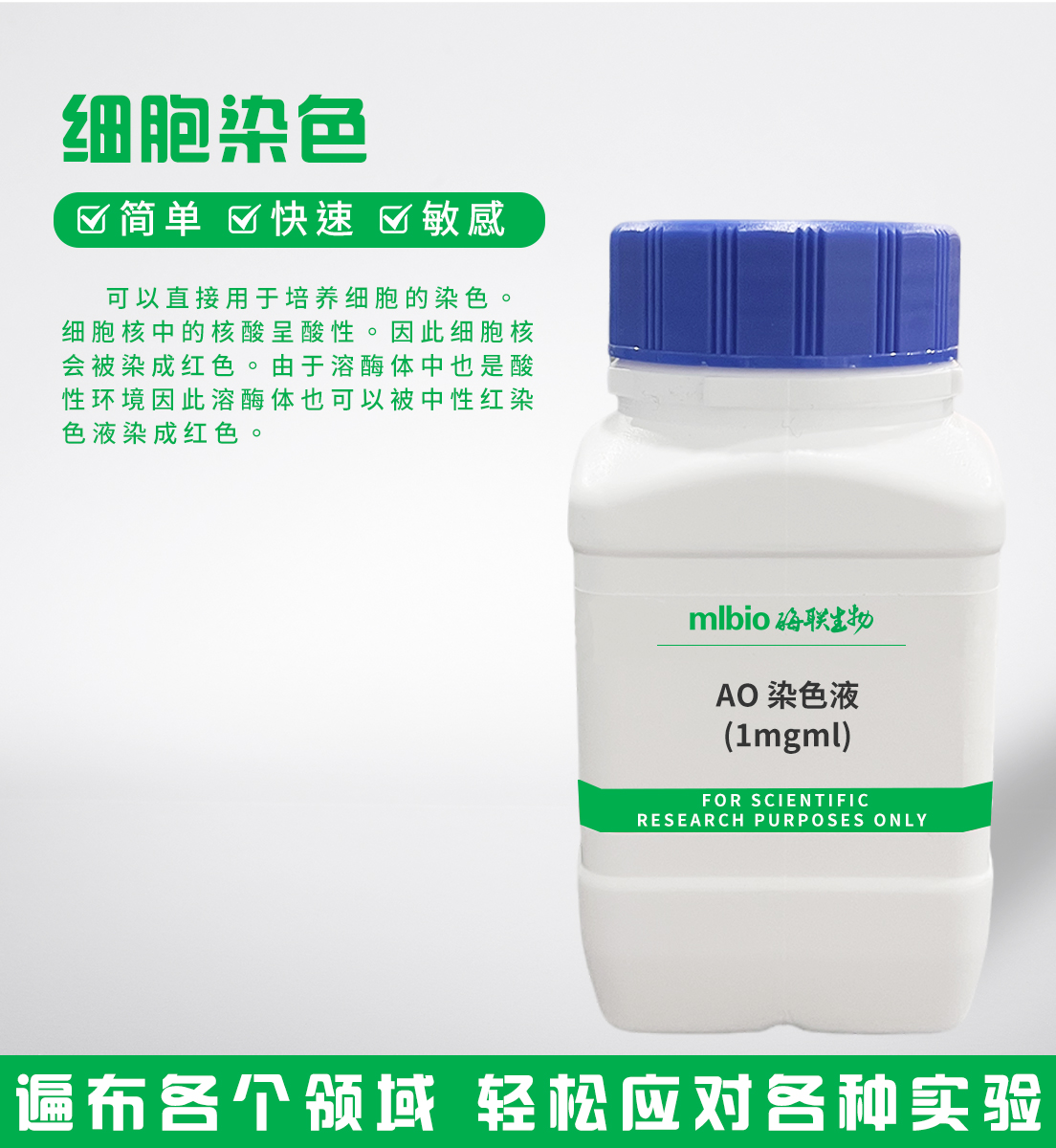 AO染色液(1mg/ml)主圖