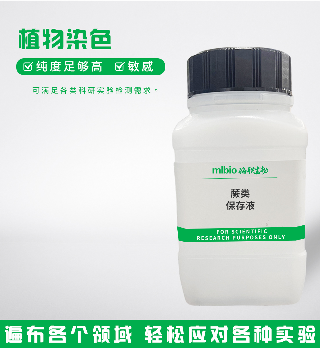 蕨類保存液主圖