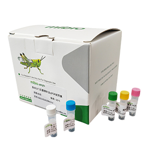 諾如病毒G2型探針法qRT-PCR試劑盒(不含內(nèi)參)主圖