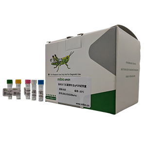 翠菊黃化病植原體探針法qPCR試劑盒(不含內(nèi)參)主圖