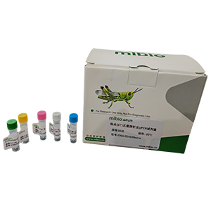 唾液鏈球菌探針法qPCR試劑盒(不含內參)主圖