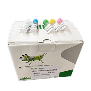 人腺病毒B77型探針?lè)╭PCR試劑盒(不含內(nèi)參)主圖