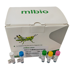 M13噬菌體探針法qPCR試劑盒(不含內(nèi)參)主圖