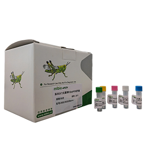 油菜內(nèi)源PEP基因探針?lè)╭PCR試劑盒(不含內(nèi)參)主圖