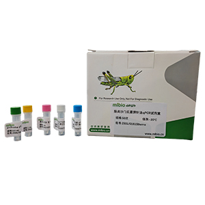 人EGFR基因c.2573T＞G(L858R)點突變探針法qPCR檢測試劑盒(不含內(nèi)參)主圖