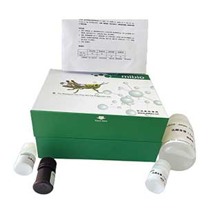 細(xì)胞亞鐵含量試劑盒96樣主圖