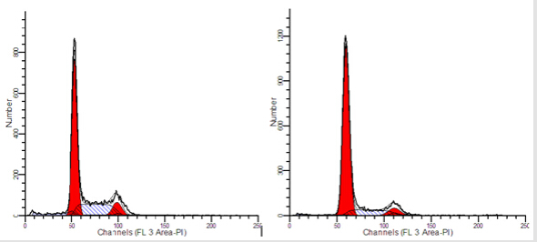 流式細胞結(jié)果示意圖