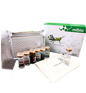 雞降鈣素(CT)Elisa試劑盒主圖