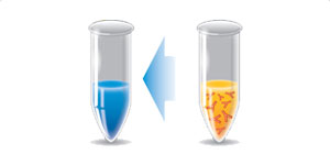 ELISA高靈敏度農(nóng)藥殘留檢測試劑盒
