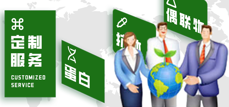 定制服務(wù)，蛋白，抗體，偶聯(lián)物